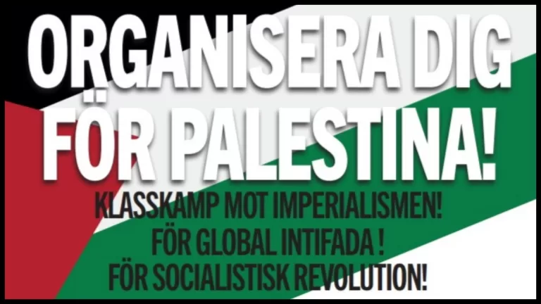 Organisera Dig För Palestina!