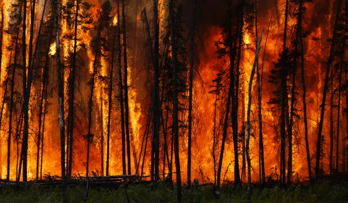Skogsbrand klimatkris
