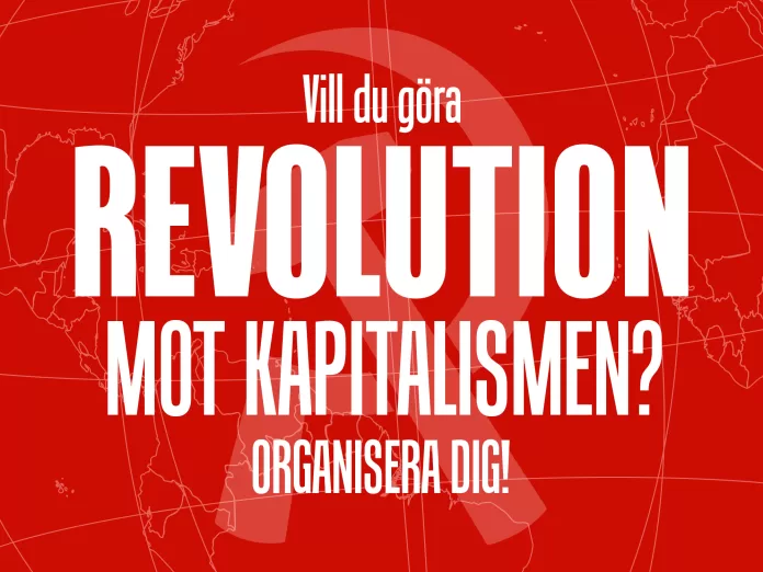 Vill du göra revolution mot kapitalismen artikel