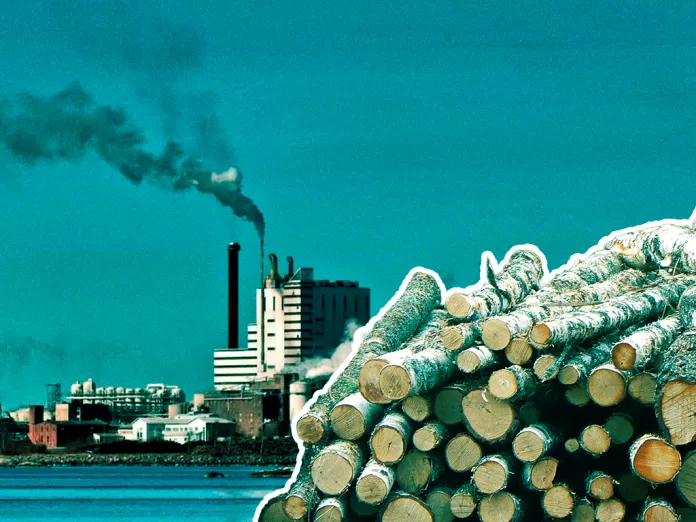 Skogindustrin överproduktionskris